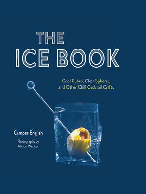 The Ice Book - ebook